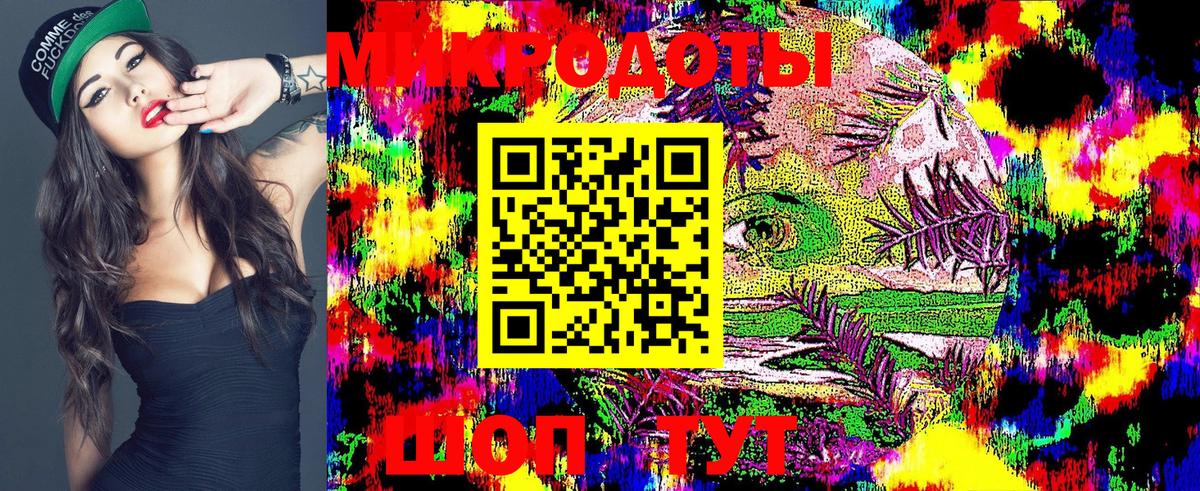 Галлюциногенные грибы Psilocybe Химки